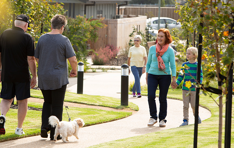 A group of people walking a dog on a path.