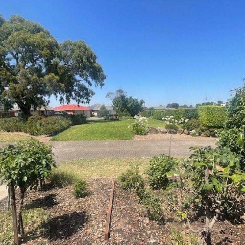 3 Harvest Walk Garden