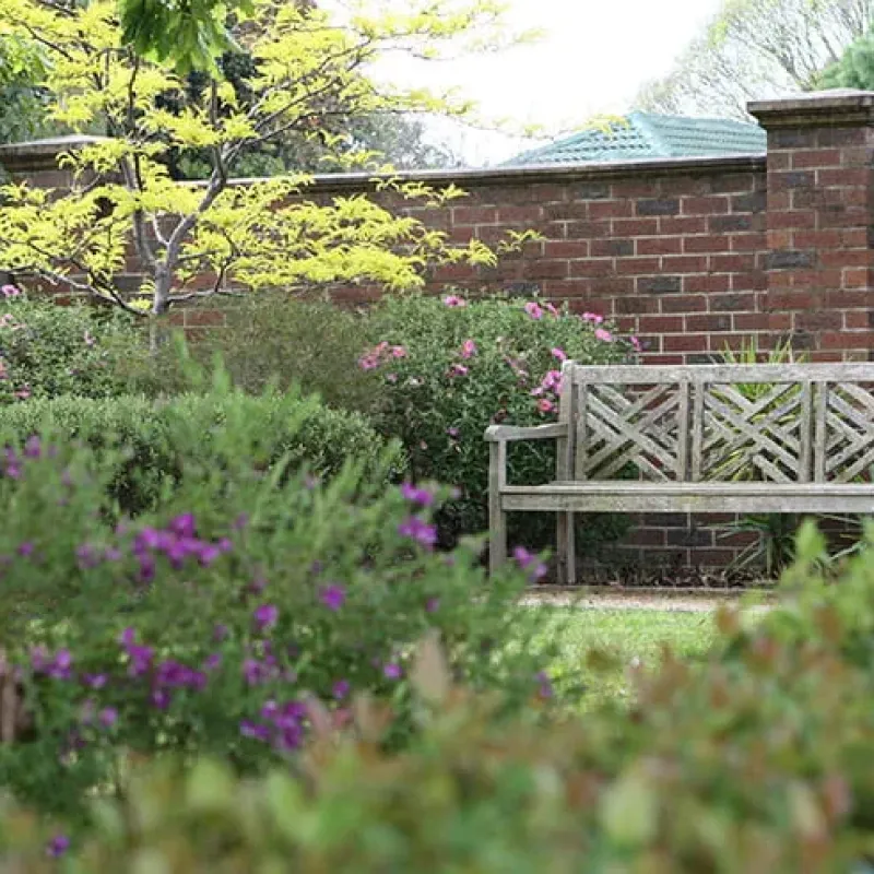 Garden seating area with timber bench surrounded by flowers and shrubs