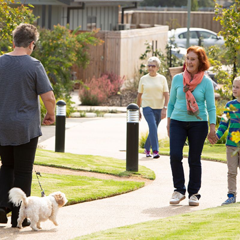 A group of people walking a dog on a path.