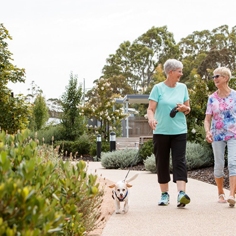 Two women happily walking their dog on a scenic path.